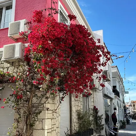 Viyana Pansiyon Hotel Çeşme